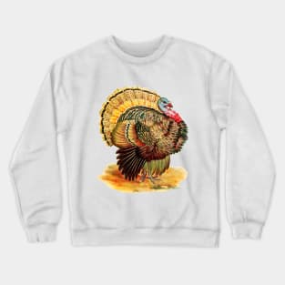 Roasted Crewneck Sweatshirt